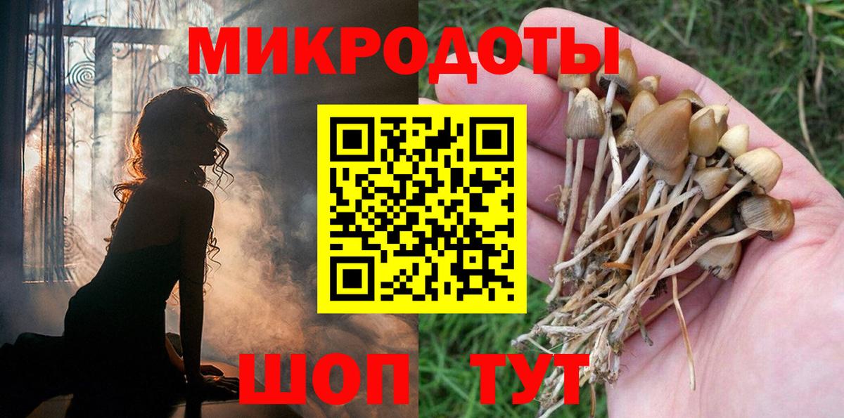 Галлюциногенные грибы Psilocybe Вятские Поляны